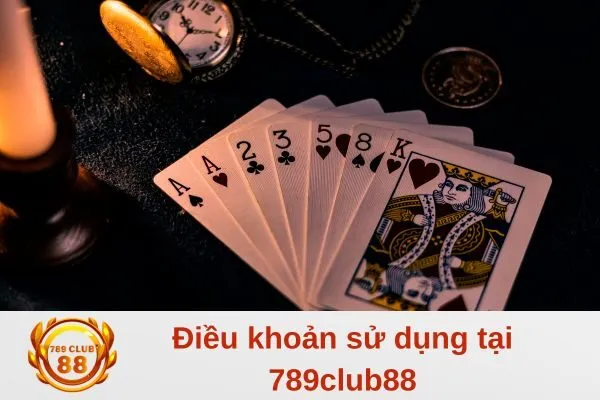 Điều khoản sử dụng của 789club88